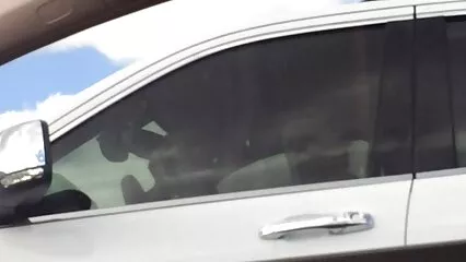 پھولے ہوئے آدمی نے پیاری گرل فرینڈ سیکسی فارسی کو بلی میں چدوایا۔