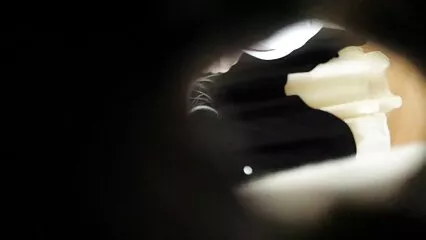 محبت میں جوڑے فطرت سیکسی شوشار میں خوبصورت جنسی تعلقات.