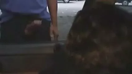 گرم ہم جنس پرست اسٹراپون اپنی دوست کو سیکسی یرانی خوشی کی چوٹی پر لے آئی۔